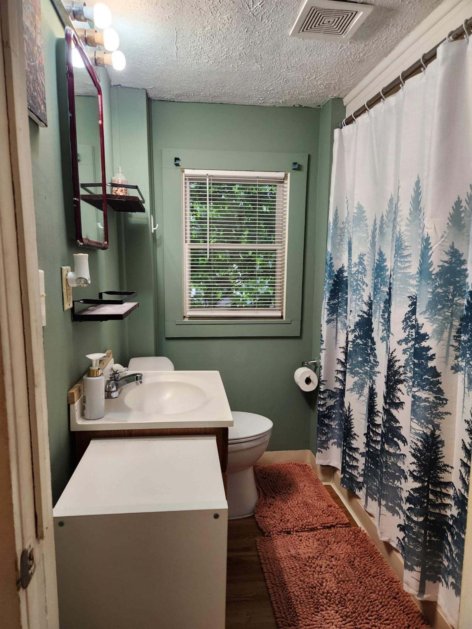 Cozy 3 Bedroom House In Downtown Ithaca Bagian luar foto